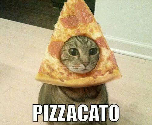 Domino's Gaming tweet media