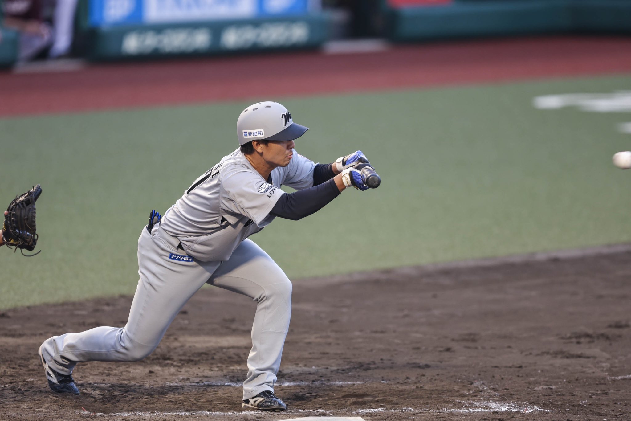 千葉ロッテマリーンズ 茶谷健太 ユニフォーム ビジター Mサイズ