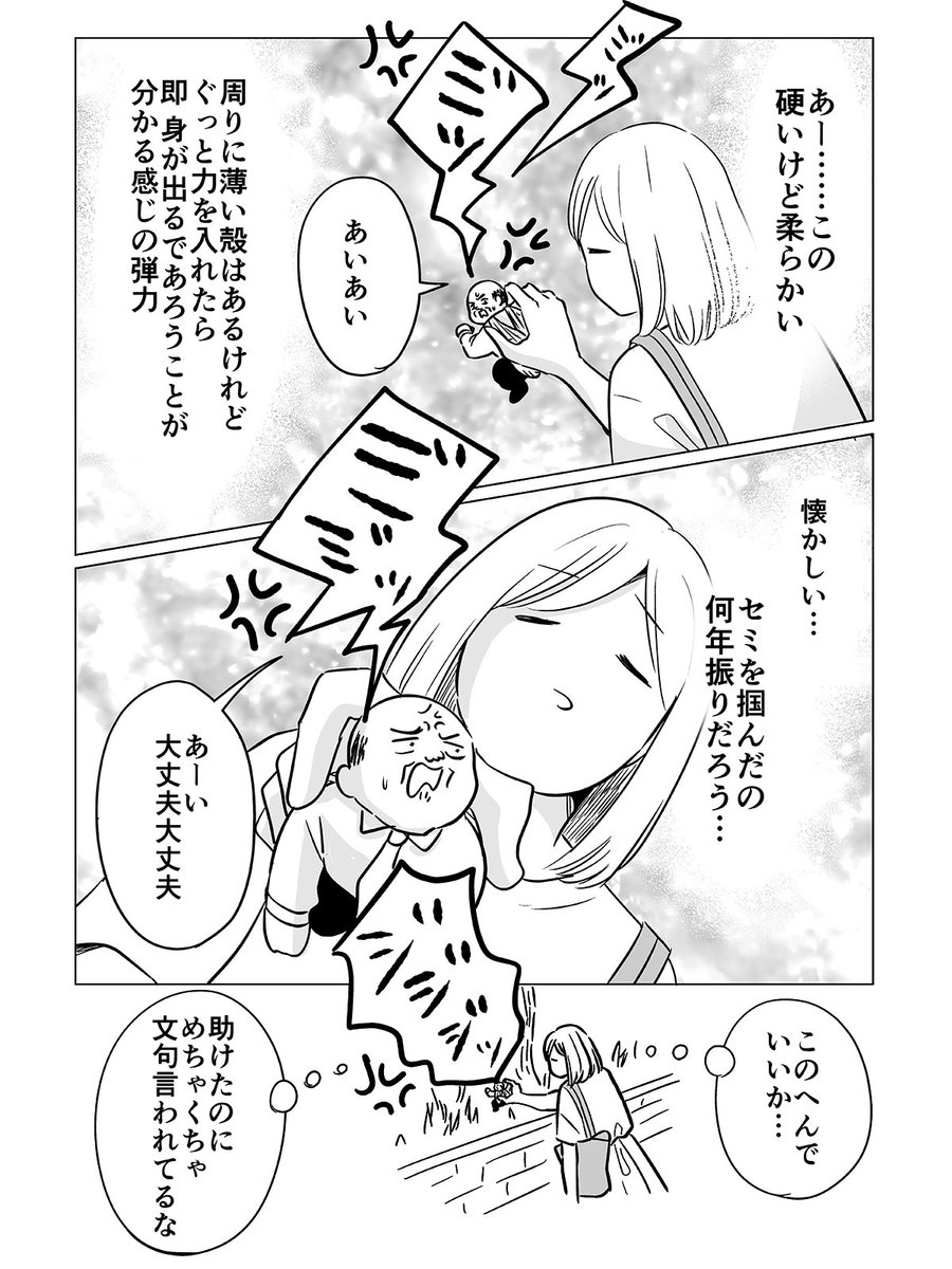 10年以上ぶりにセミを掴んだ話 