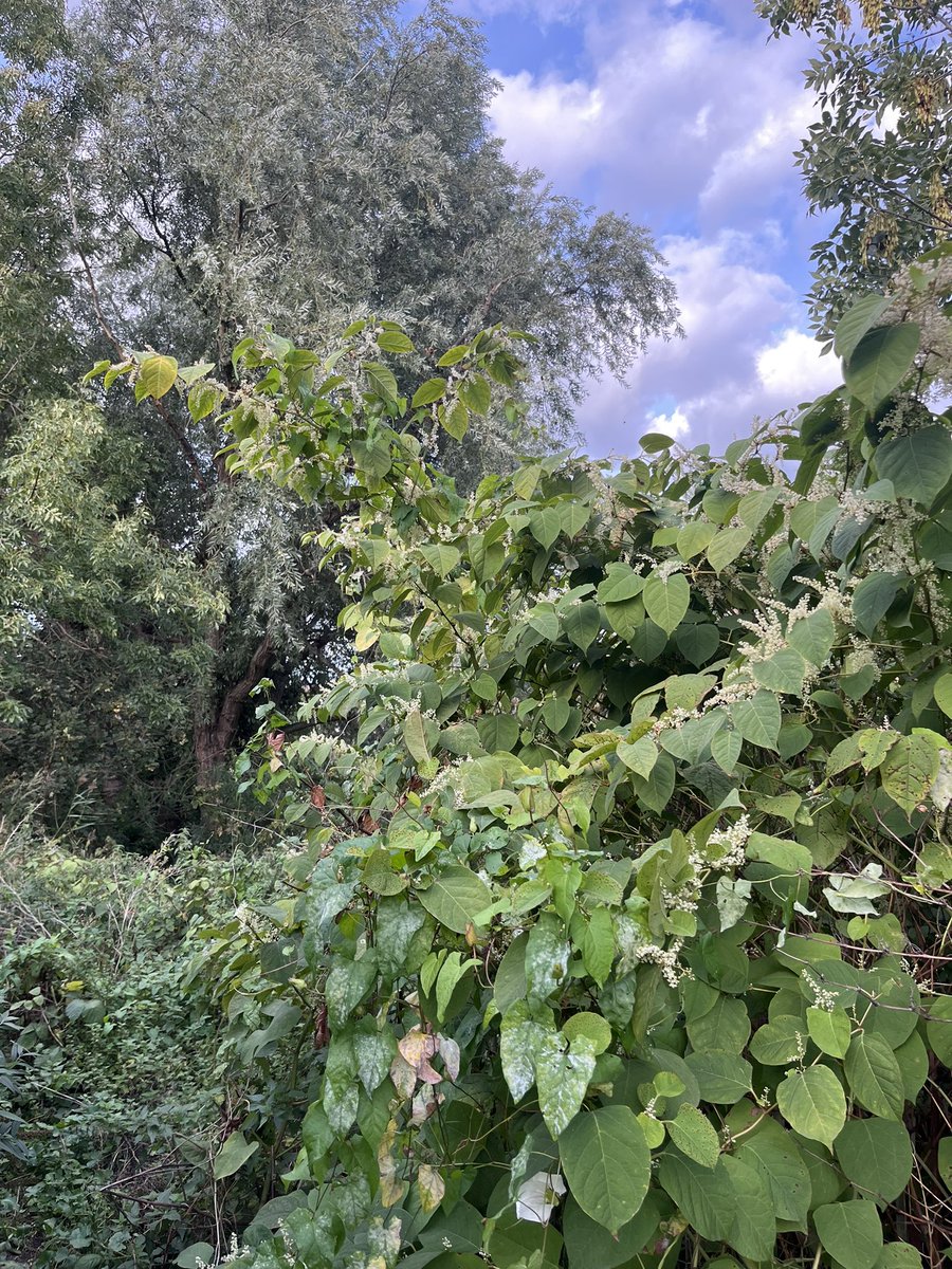 Paul Powlesland tweet media