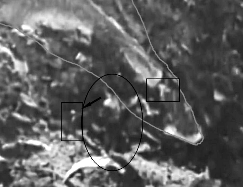 PatrickQJackson's tweet image. Looks to be facing down - looking at that small figure?
#thespherenetwork #uaptwitter #ufotwitter #uap #UFOx