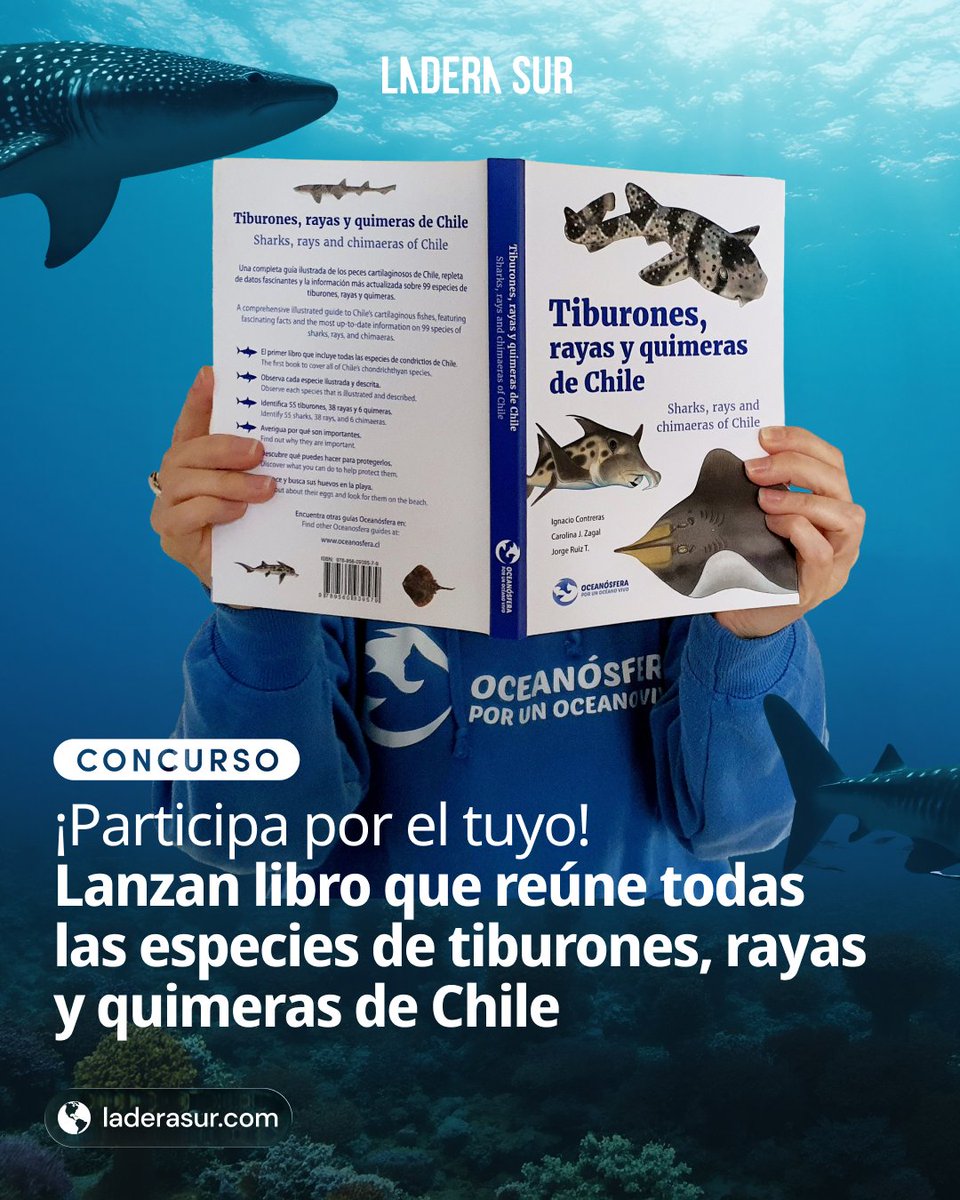 ¡Muchísimas gracias <a href="/ladera_sur/">Ladera Sur 🌎</a> y Francisca López por ayudar a difundir nuestro nuevo libro de Tiburones, rayas y quimeras de Chile!

Participa en el concurso en Instagram y lee la nota en:
laderasur.com/libro/fundacio…

#oceanosfera #PorUnOceanoVivo #Tiburonesdechile <a href="/CarolinaJZagal/">Dra. Carolina J. Zagal</a>