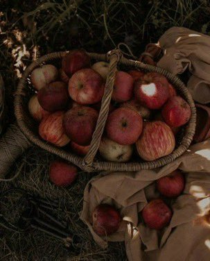 z0mbi3boii's tweet image. HHHEHEHEHEHE