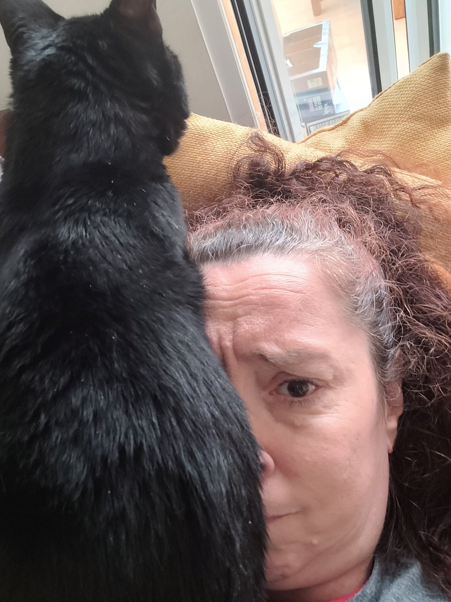 The cat is apparently very comfortable.  I, however, am not.