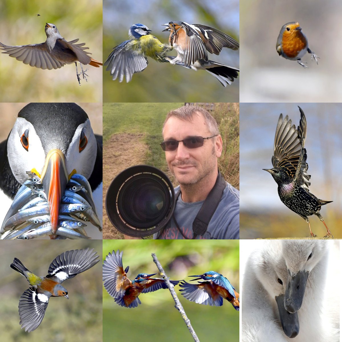 Hi everyone. ❤️
 Please bookmark this for future reference... links to all my specific products, to make it easier to find what you are looking for! 😀⬇️🐦

Buy my books here;
carlbovis.com/100-birds-book  🐦

Buy my 2026 calendars here;
carlbovis.com/2026-birds-cal…  🐦

Buy my Jigsaws