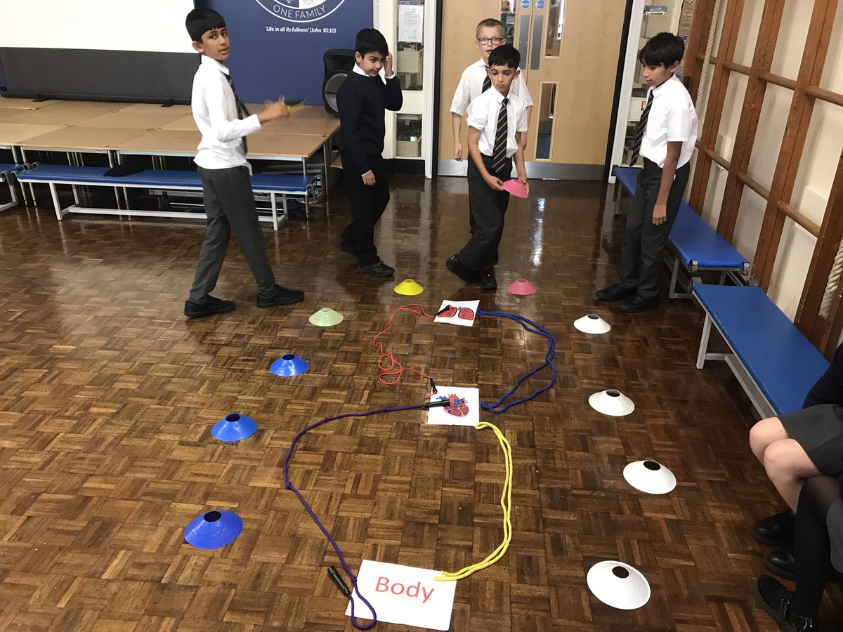 StPaulsBolton's tweet photo. Year 6 have been mapping out the circulatory system and thinking about the journey blood makes around the body. #abscience https://t.co/DBpeYttR4h
