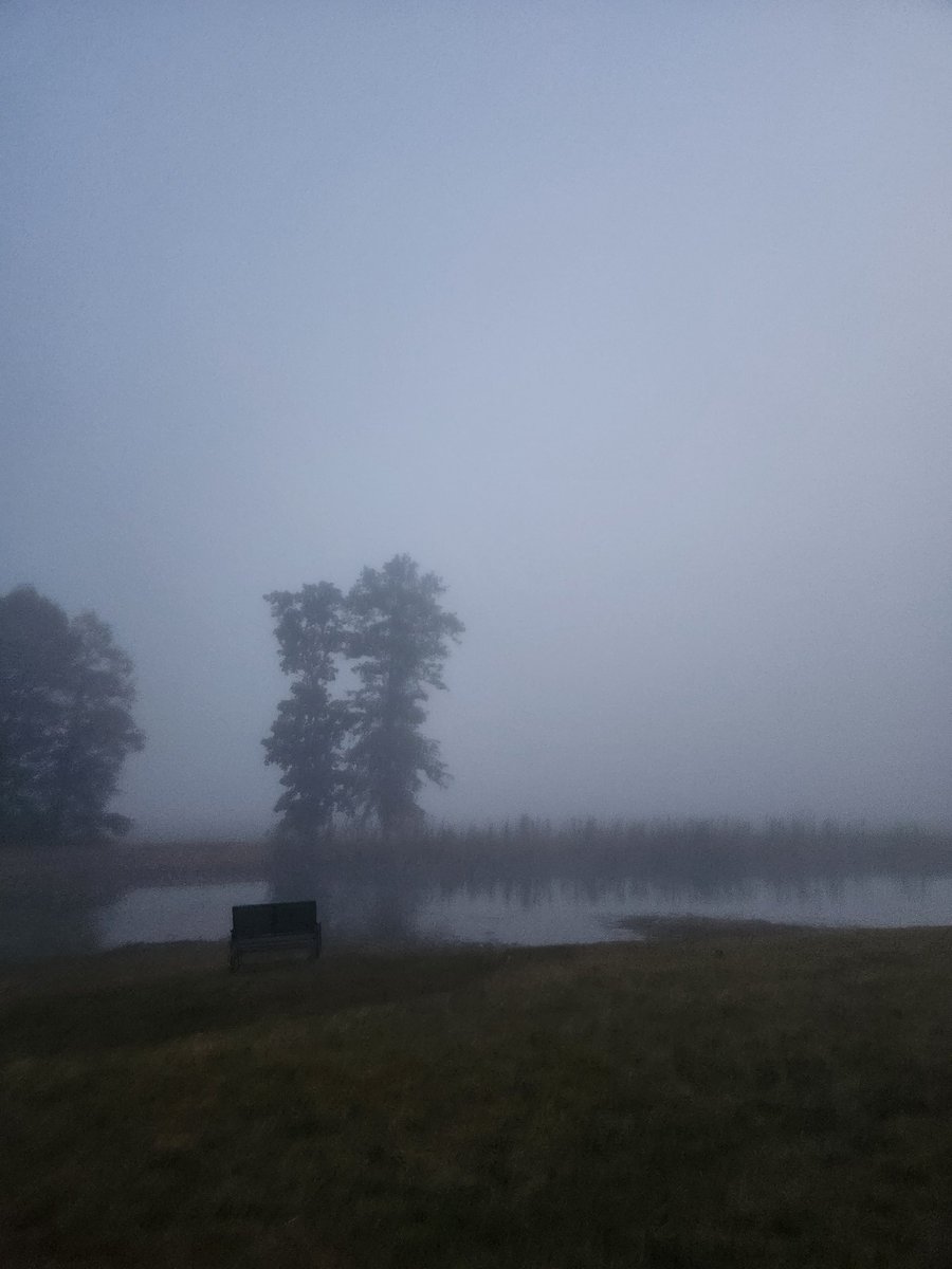 Foggy mornings are creepy sometimes, im just waiting for the zombies to come over the hill 🧟‍♂️