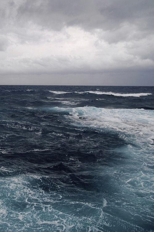 ocean tweet media