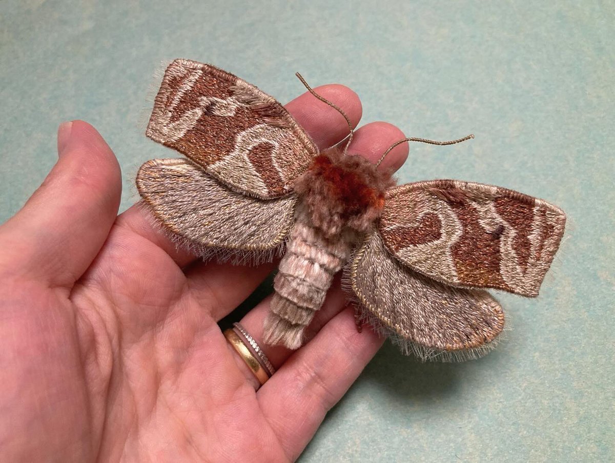 蛾売りおじさん tweet media