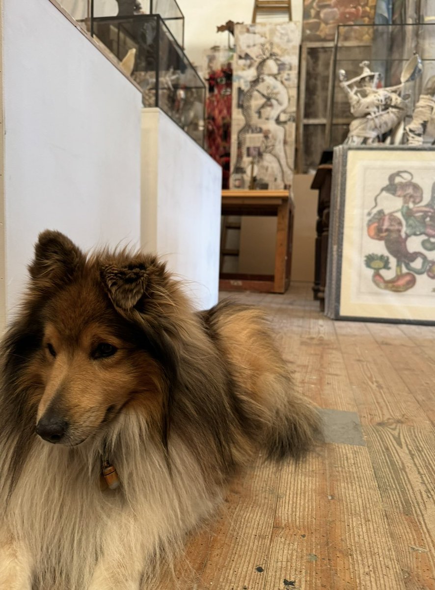 🇨🇿あっという間に3週間が過ぎ、残すところ1ヶ月の会期となりました。(〜10月19日迄)

「エヴァ＆ヤン・シュヴァンクマイエル博物誌」展
会期/2025年8月23日 (土) 〜 10月19日 (日) 
Open / 水・木・金・土・日12:00 ‐ 18:00
Close / 月曜日 ・火曜日 (月、火が祝日に当たる場合も休廊)