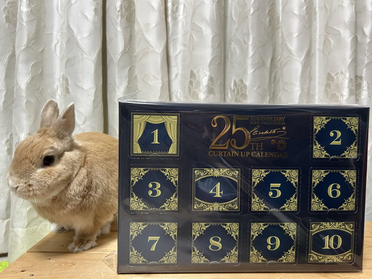エリザベート　カーテンアップカレンダー エリザベート カーテンアップカレンダー - メルカリ