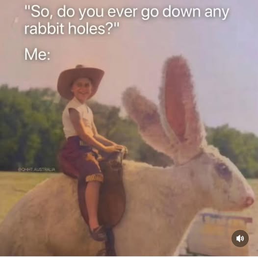 Lost in a rabbit hole again? Our practitioners can help you navigate 👀

#NaturalHealth #HolisticHealing #MindBodyBalance #WellbeingJourney #AlternativeHealth #AcornHealth #SelfCare #FindYourBalance