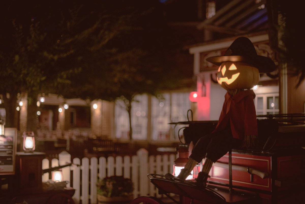 3misakey7's tweet photo. 装飾撮ってグッズ買って
わくわくしたハロウィン始め🎃
早く涼しくなりますように:) https://t.co/QxaRwzkIgZ