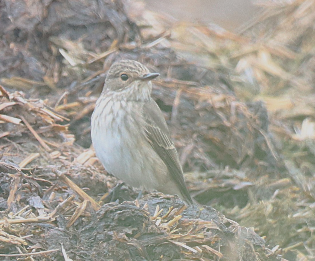 Dave 💙💛 tweet media