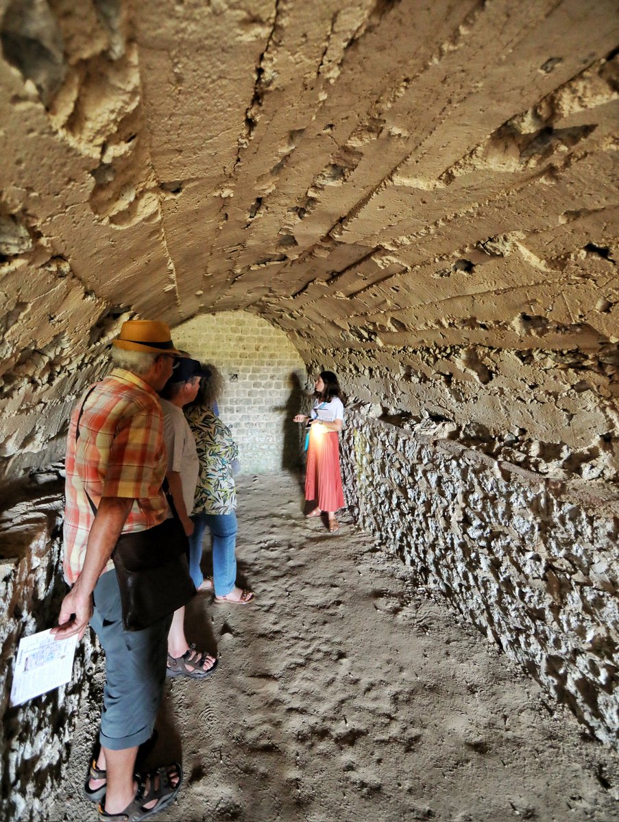 🔵 𝗖𝗘 𝗪𝗘𝗘𝗞-𝗘𝗡𝗗 🏛 | Amis curieux, c'est le moment de vous manifester ! Ce week-end, à l'occasion des Journées européennes du patrimoine (<a href="/JEP/">Journéesdupatrimoine</a>), Cassinomagus vous dévoile ses entrailles ! 🔎 #JEP2025 #JourneesduPatrimoine

🌐 Infos sur bit.ly/JEPCassinomagus !