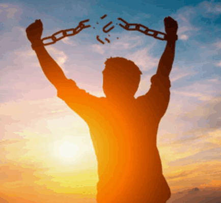 Weaver - FUT tweet media