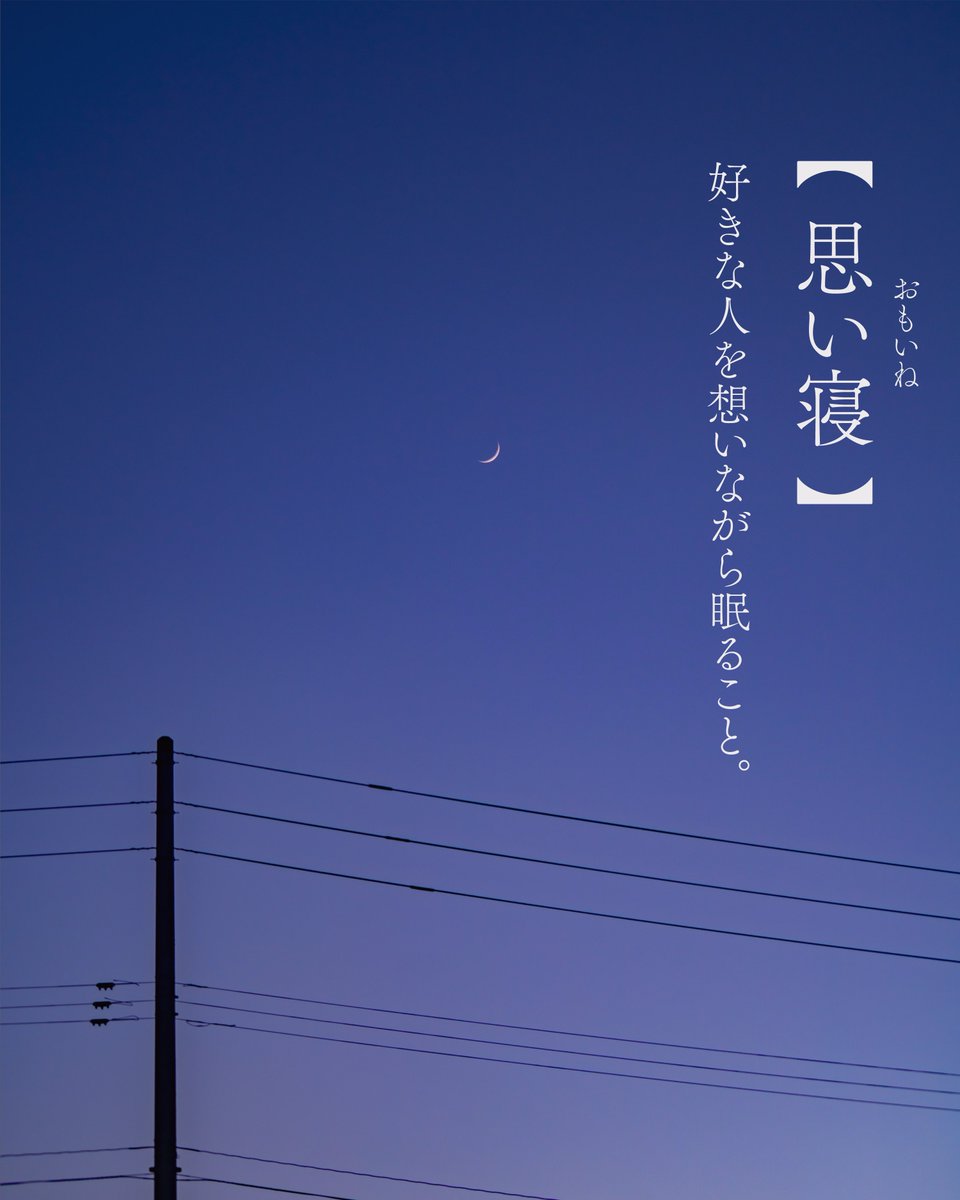 asanatsu_rei's tweet photo. 【思い寝】おもいね
好きな人を想いながら眠ること。 https://t.co/Ftl058YUPD
