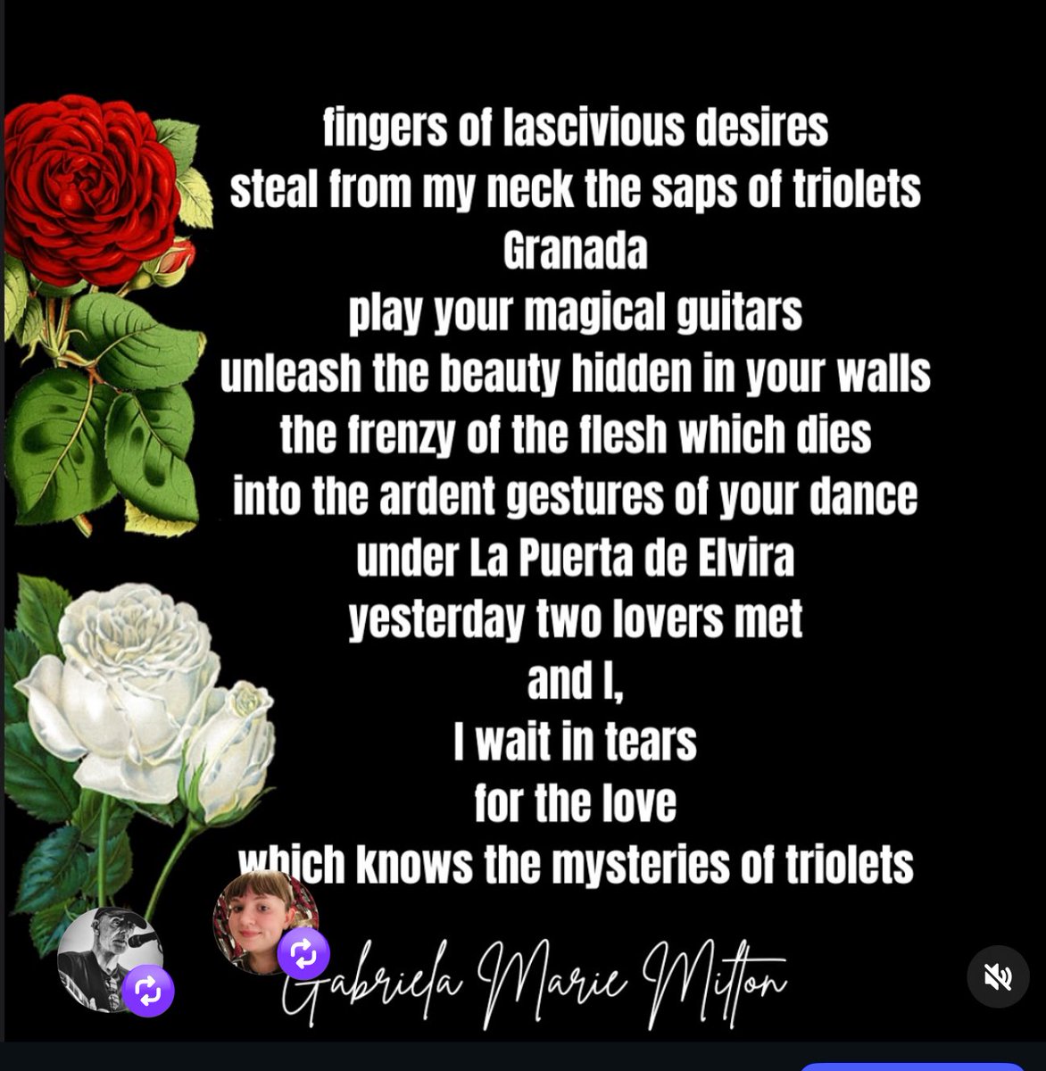 shortprose1's tweet image. #vss365 #synthesis #poem