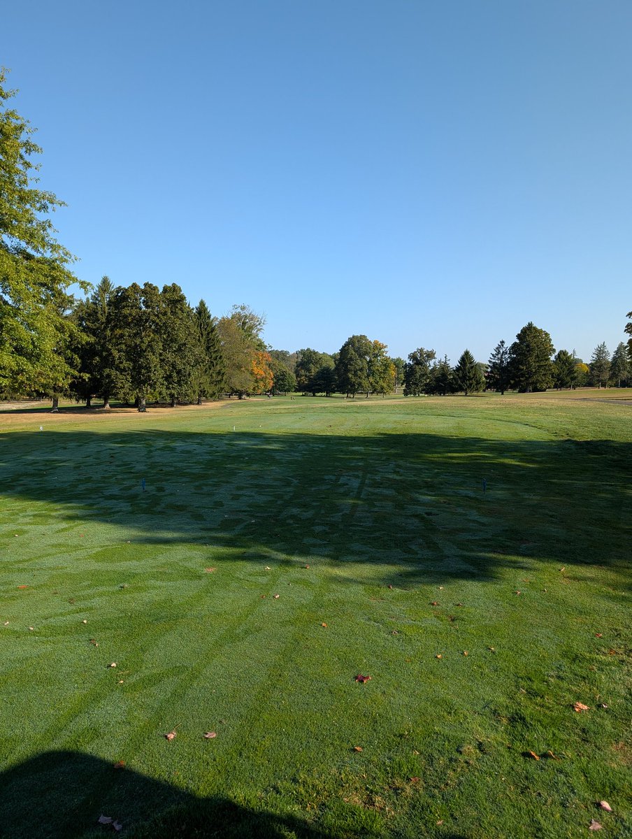 We are under way at Salem Hills for the MVAC tournament. Go Vikings!!