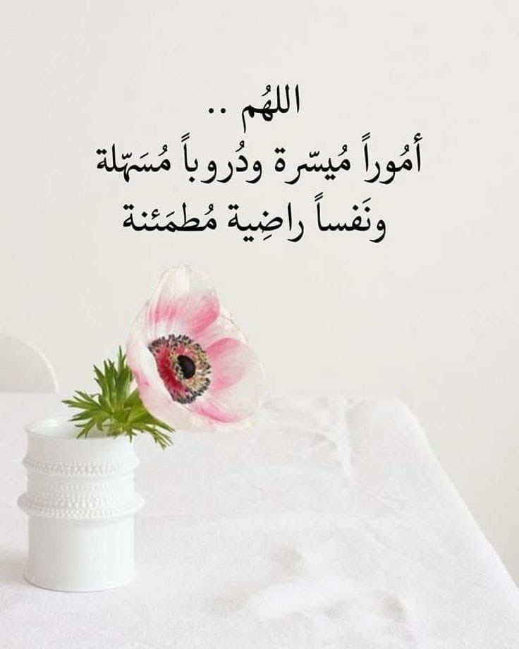 المكة الااحساس tweet media