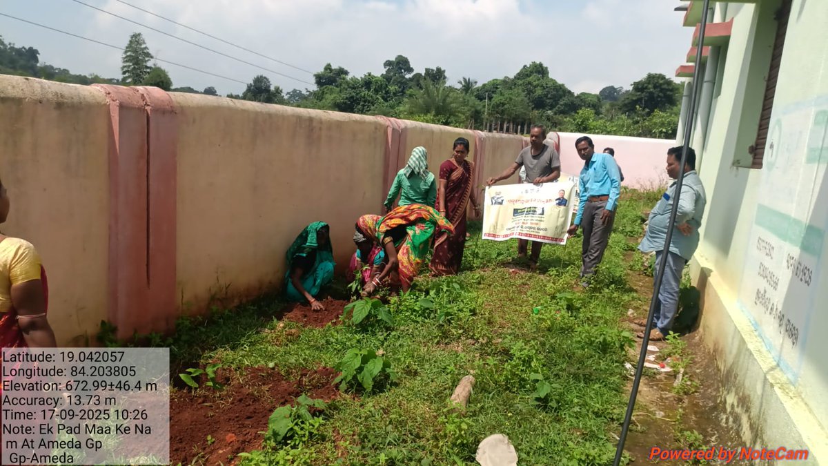 Ameda_GP's tweet photo. One day plantation programme organized at Ameda GP in presence of AWW, PRIs, and public. https://t.co/QQ6g7VMDnp