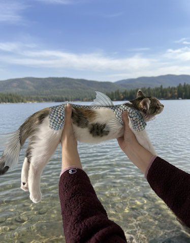this is my catfish