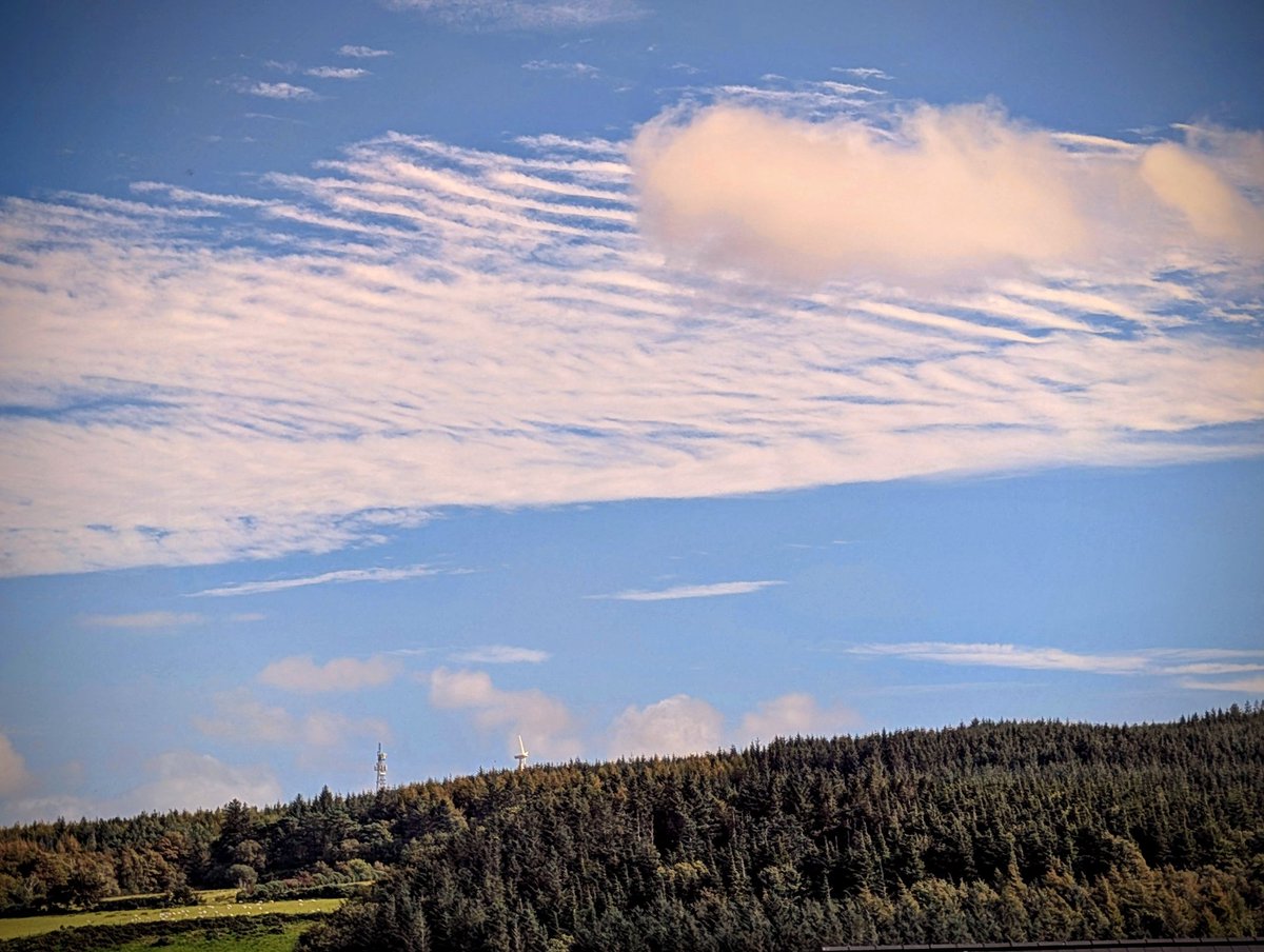 Ballycastle Forest this afternoon <a href="/deric_tv/">Deric</a> <a href="/R_Faragher/">Rick Faragher</a> <a href="/linzilima/">Linzi Lima</a> <a href="/bbcweather/">BBC Weather</a>  <a href="/LoveBallymena/">Love Ballymena</a> <a href="/WeatherCee/">Cecilia Daly</a>    <a href="/Louise_utv/">Louise Small</a>  <a href="/WeatherAisling/">Aisling Creevey</a> <a href="/barrabest/">Barra Best</a> <a href="/Ailser99/">Aileen Moynagh</a>  <a href="/angie_weather/">angie phillips</a> <a href="/geoff_maskell/">Geoff Maskell</a> <a href="/organicbotanic/">Sue McBean - @organicbotanic.bsky.social</a> <a href="/Schafernaker/">Tomasz Schafernaker</a> <a href="/Ali_Totten/">Ali Totten</a>