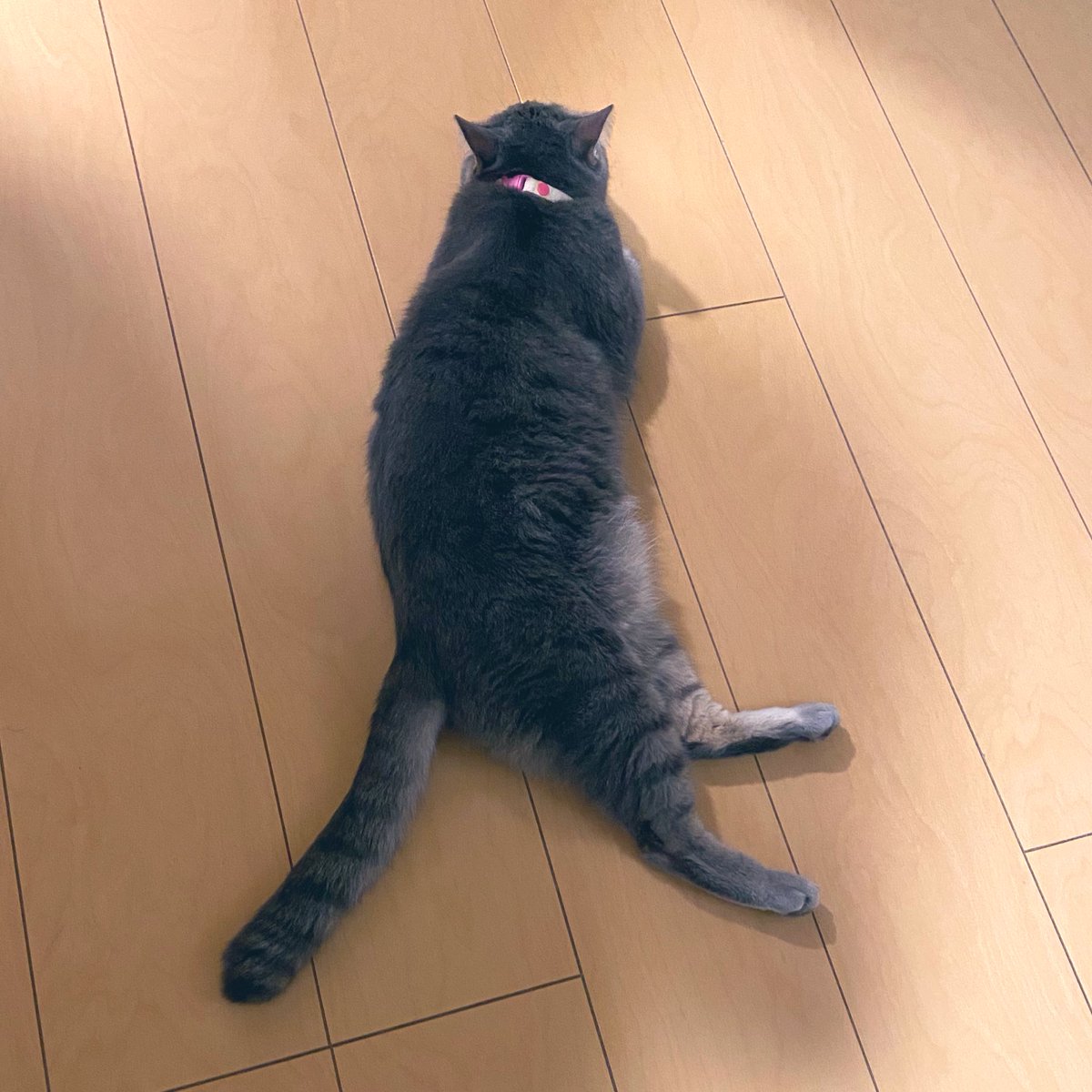 秋めいてキタキタ
