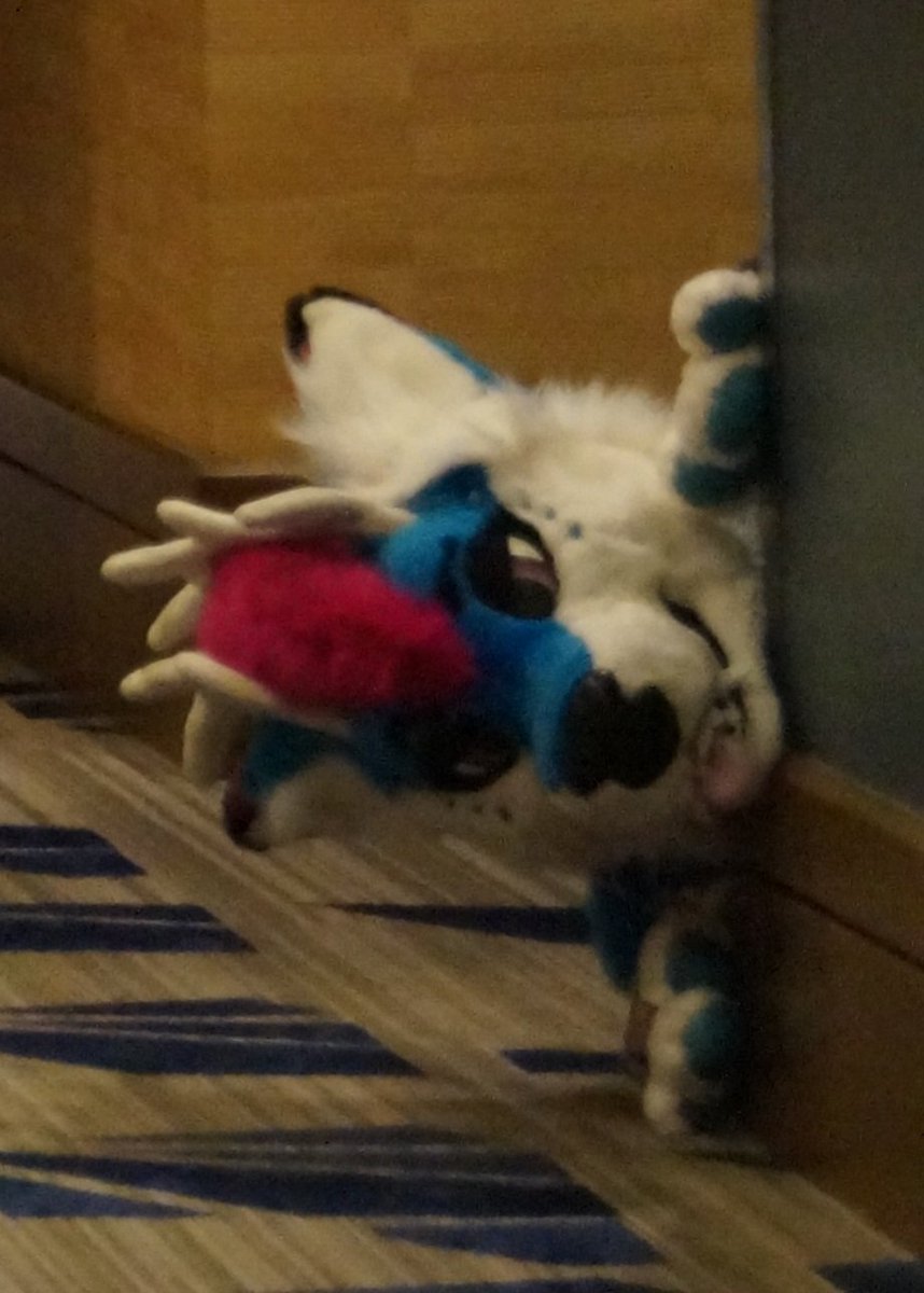 Look at this lil gremlin! 

📸 <a href="/SekeiKometto/">Sekei🦋</a>