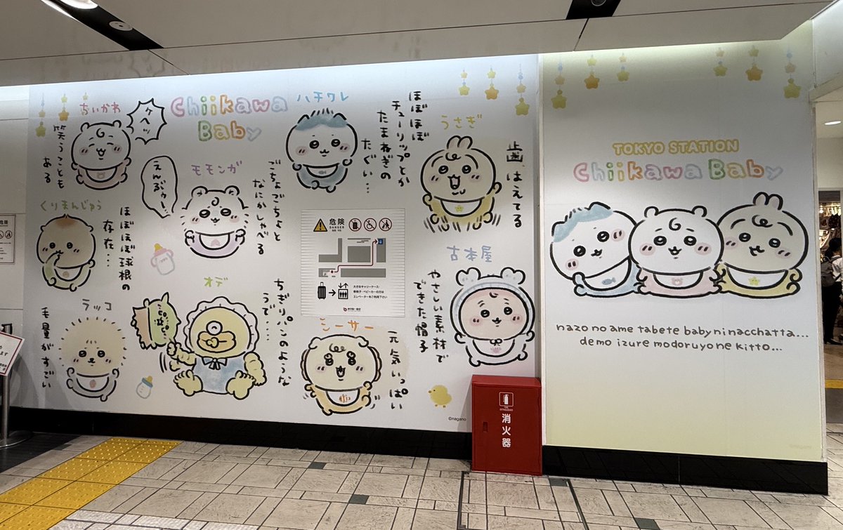 ぽんちゃん🐶 (@mijyupon0726) / Posts / X