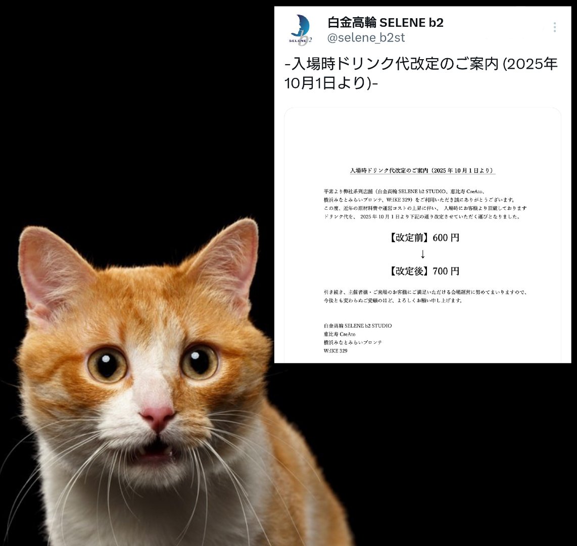 ねこ 222 deux cent vingtーdeux 【9/24値上げ対象】 猫 ネックレス