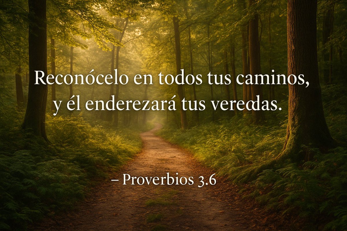 Vicente Castillo J. tweet media