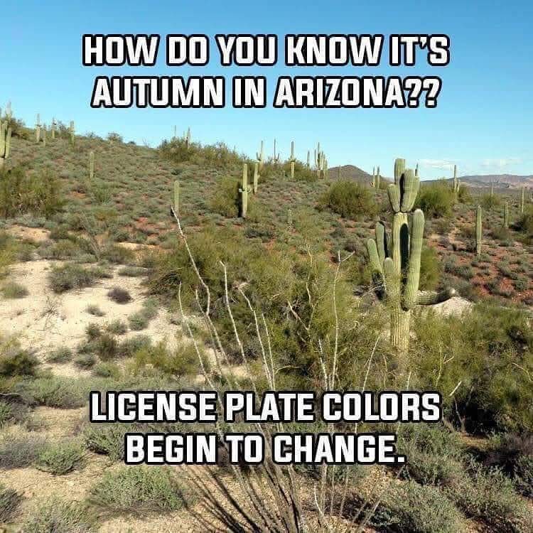 Snowbird season is beginning here in the Phoenix valley.