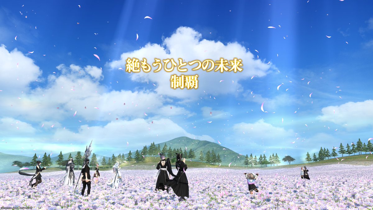 なおまる🦭 tweet media