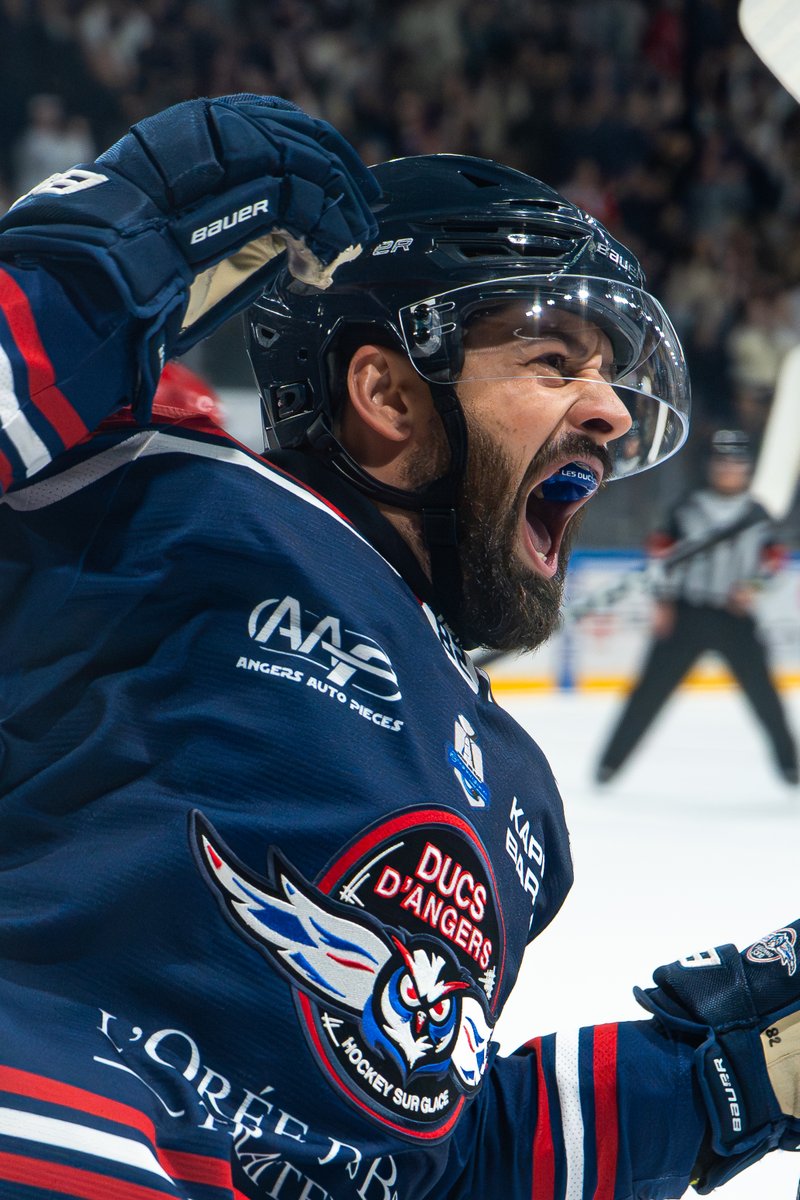 Les Ducs d'Angers tweet media