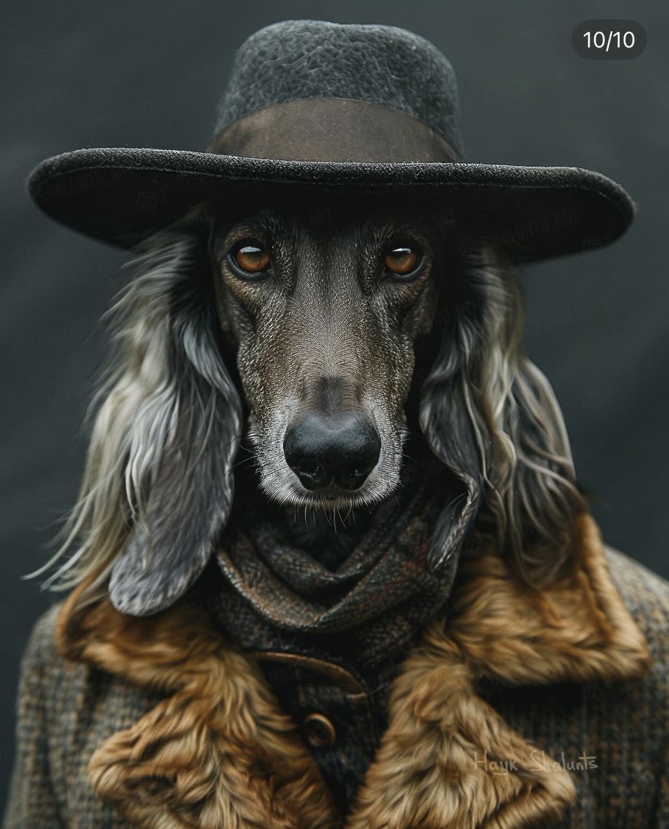 dogadogo2023's tweet image. Who says only humans can slay the look? 😎🐶 With DOGADOGO, pets step into true fashion.
#DGDG #DOGADOGO #dgdg