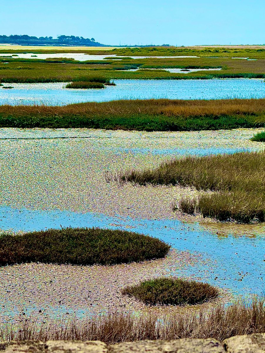 juju52🛫✨ tweet media