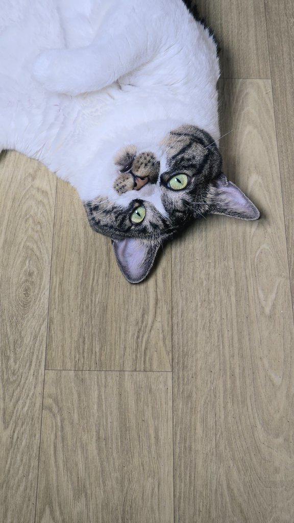 저를 소환해쥬셔서 감샤함미다☺️

DON’T BREAK THE CHAIN

—wallpaper 
—last song
—seventh photo
—8 mutuals

저는 여기서 끗!!!