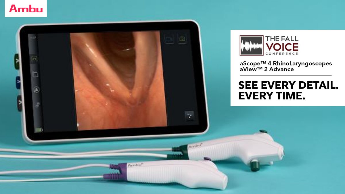 The Fall Voice tweet media