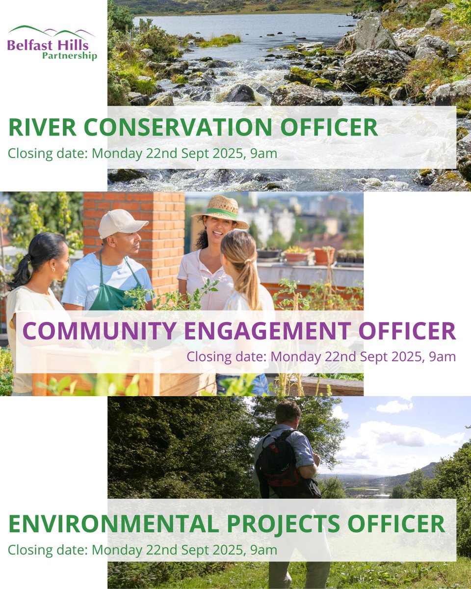 Weekend plans? Why not submit an application to one of our current vacancies? Further information and application forms can be found on our website:
belfasthills.org/jobs/

Please note: we do not accept CVs.