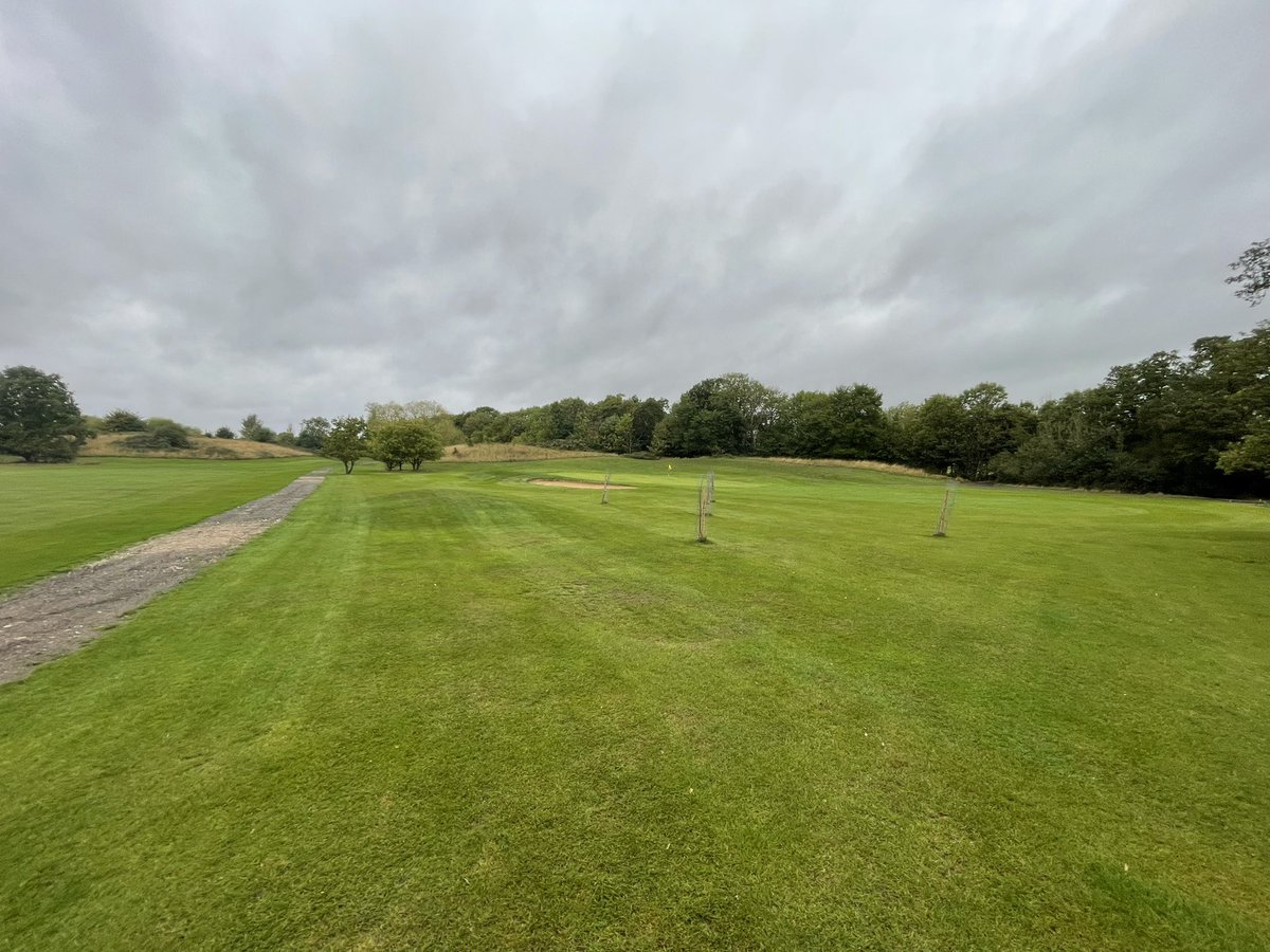 Step installed on the 16th now just left is the grow in 

Laying down some stripes on the rough 

Course holding up well with all the rain recently