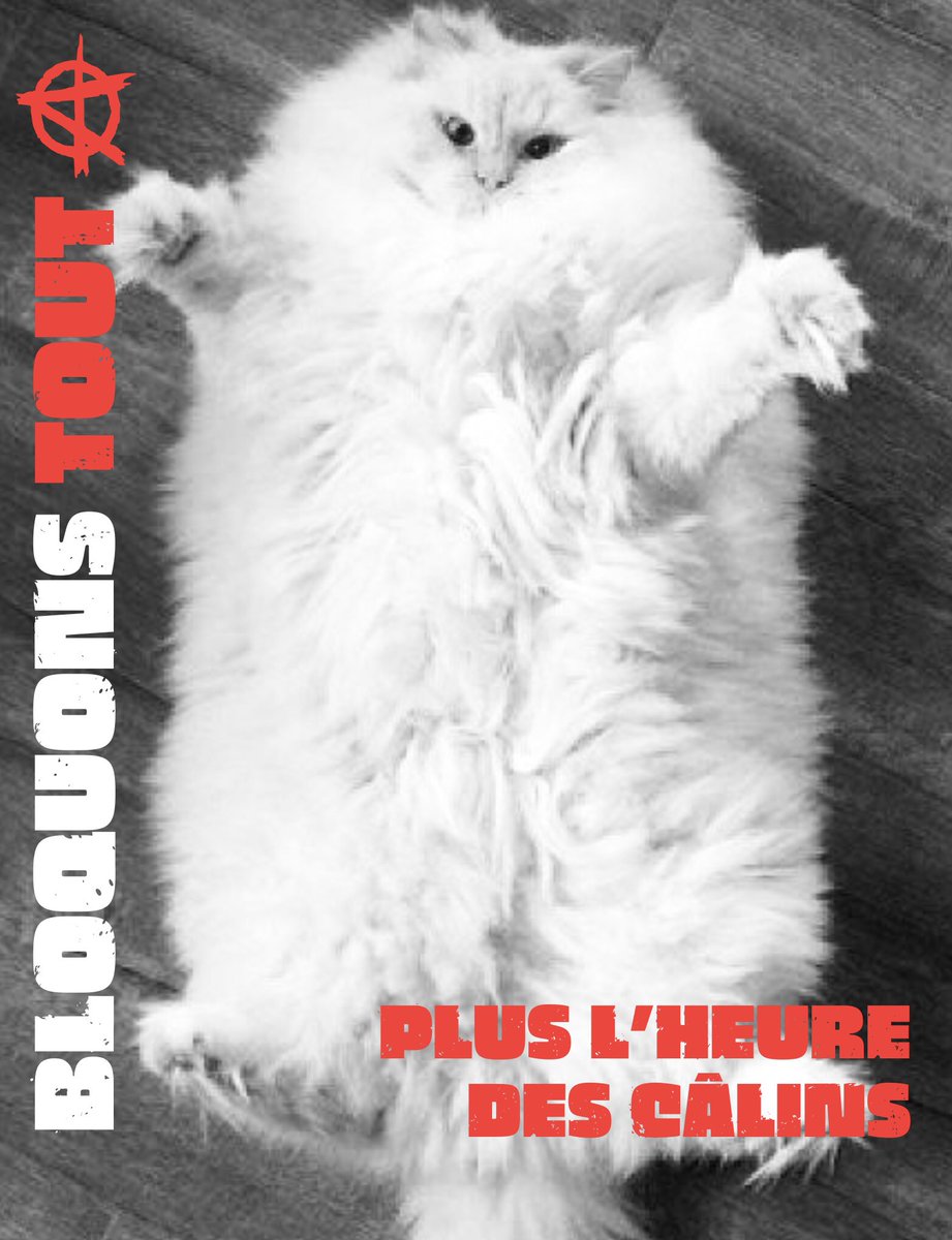 #BloquonsTout Plus l’heure des câlins  😘✊🐈‍⬛🏴
#18septembre #10septembre