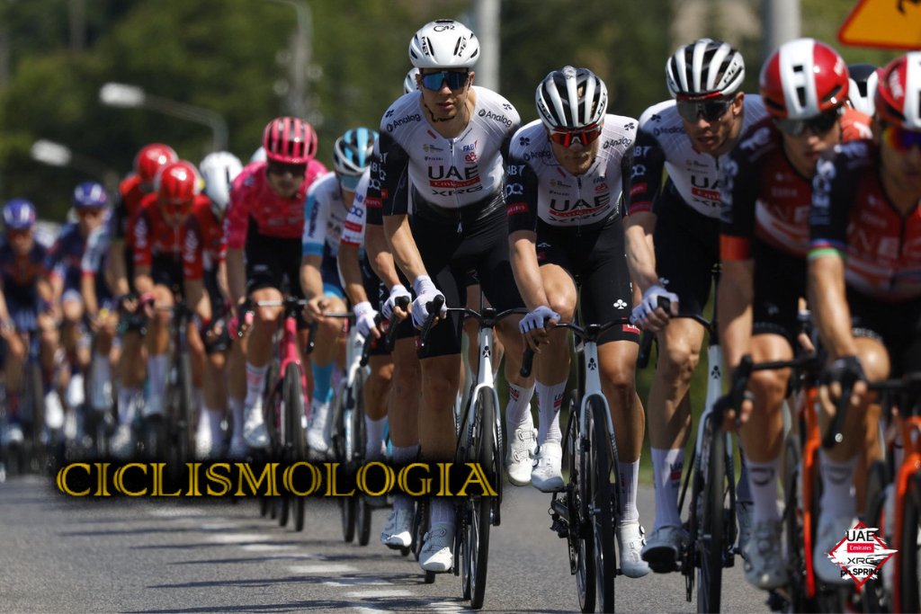 ciclismologia's tweet image. Chris Horner critica con fuerza al UAE Team
#Ciclismo #UAETeam #JoaoAlmeida
ciclismologia.com/chris-horner-c…