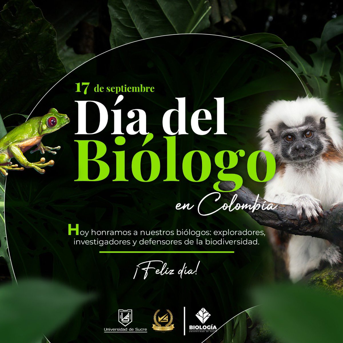 🟢⚪¡Feliz Día del Biólogo en Colombia! 🌱🐒

En la Universidad de Sucre reconocemos la labor de nuestros biólogos y biólogas, docentes, estudiantes y egresados que, con su entrega y vocación, contribuyen a comprender y proteger la riqueza natural de nuestro país. 🌳🦋