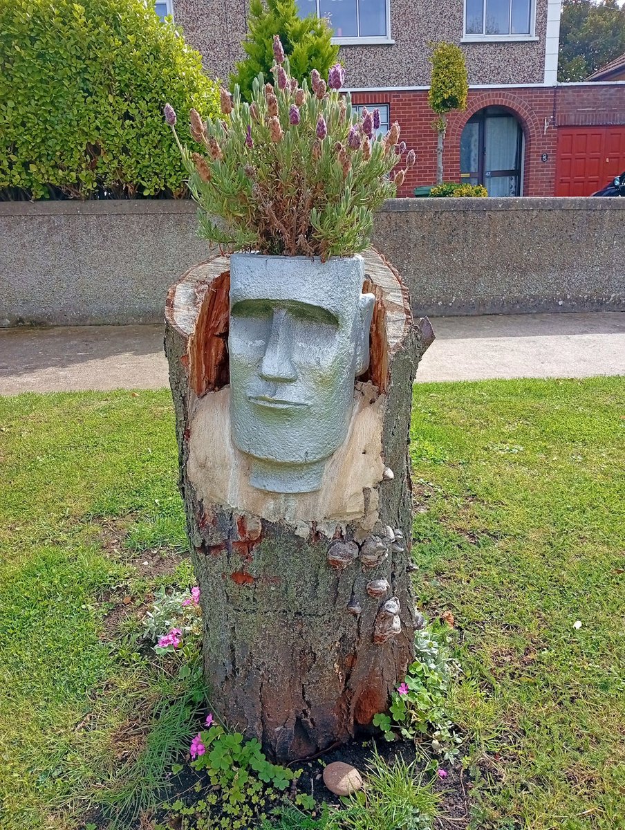 Things you see when going for a walk in Dun Laoghaire. #dlrtourism #dlrarts #love_dunlaoghaire #lovindunlaoghaire #streetart #streetphotography #streetsofdublin #artdublin #artonawall #artoftheday #artphotograph #artist  #handsoftheartist