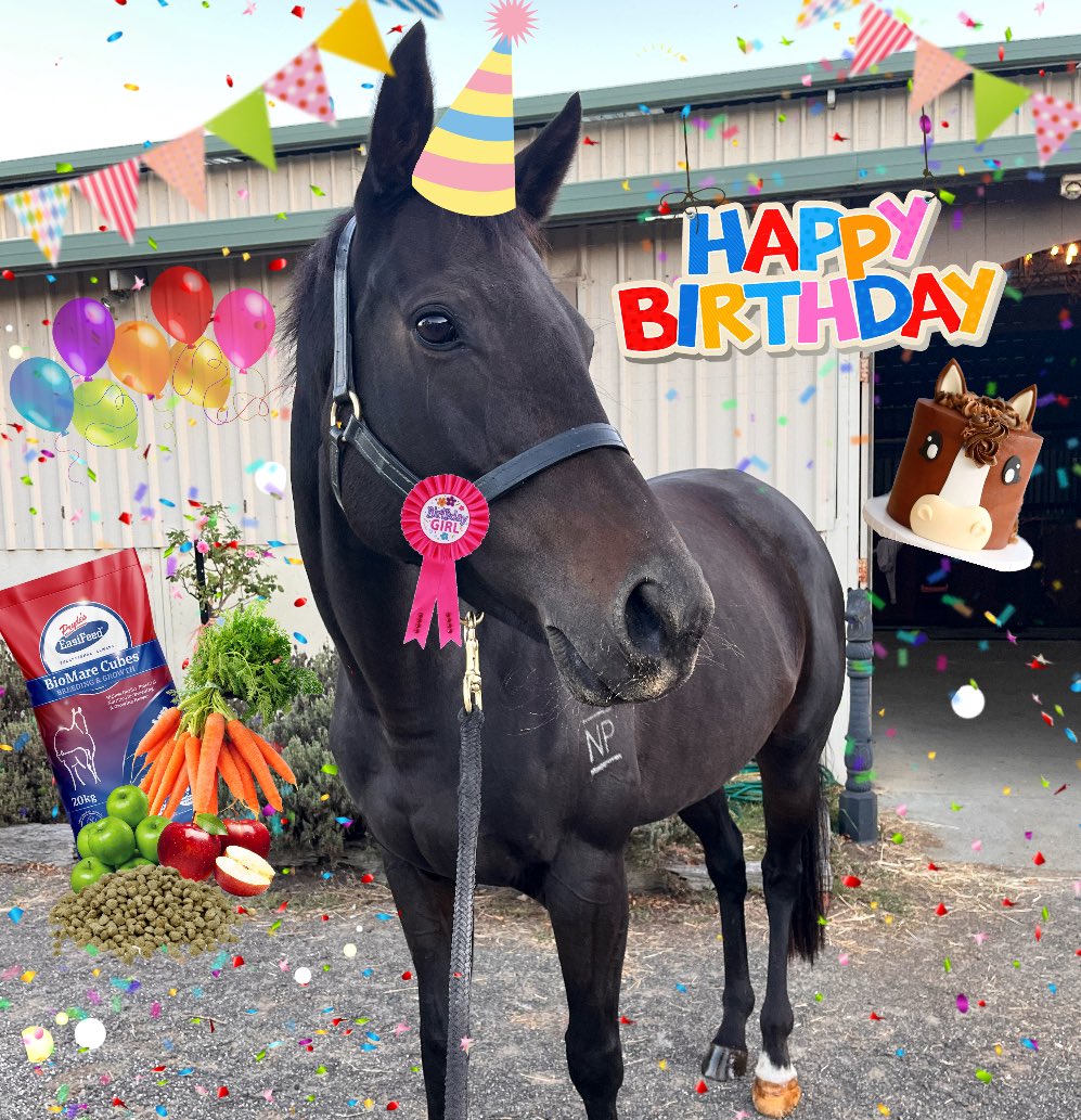 IT IS LUNAR’S 6TH BIRTHDAY TODAY! Happy birthday Lunanan 🎉🐴🎂