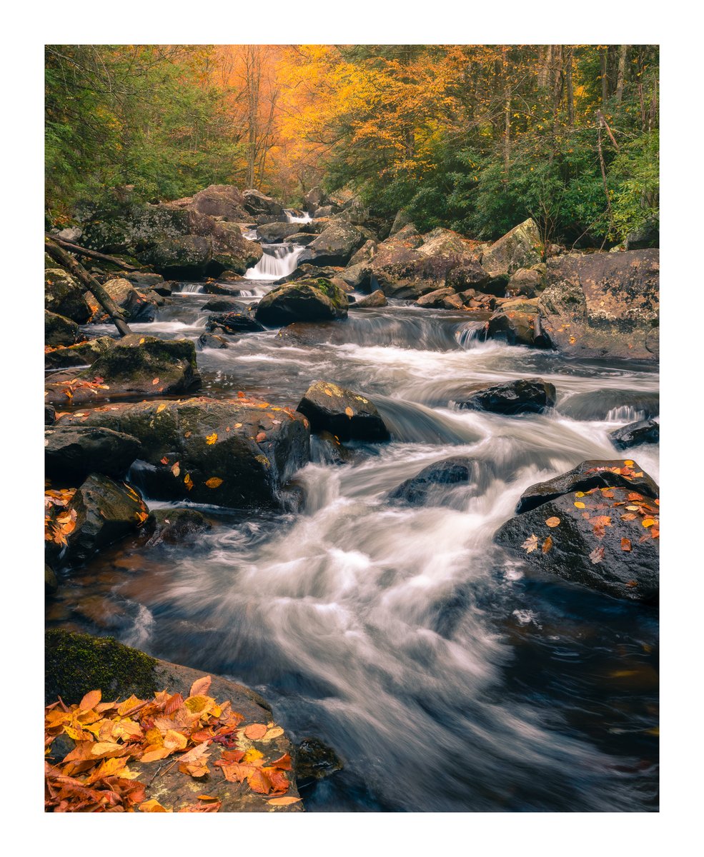 One of those scenes you stumble upon and instantly know. It was my first time at this river, and the timing couldn't have been better..rushing water, fall color, and just enough light filtering through.