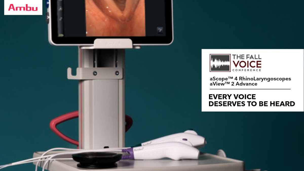 The Fall Voice tweet media