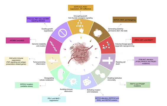 Cancer Discovery tweet media