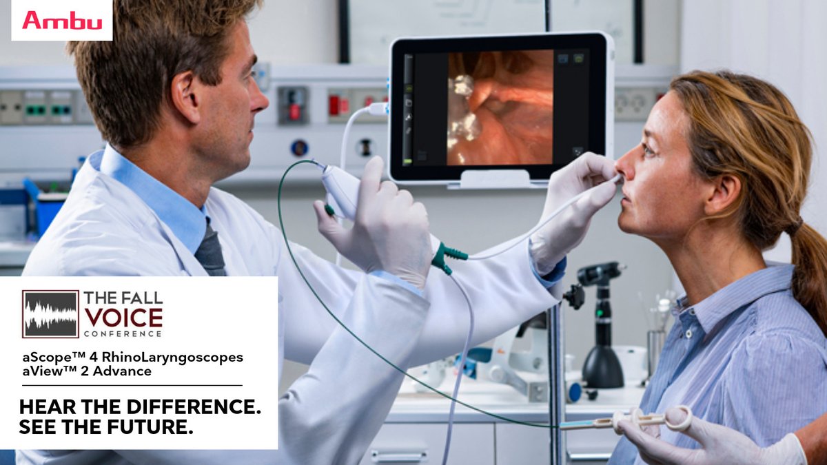 The Fall Voice tweet media